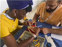 AOA BSSH Hand Fracture Fixation Course